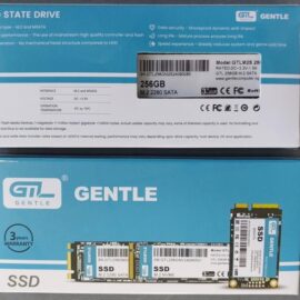 M2 256GB NVME 1 Cut long card SSD
